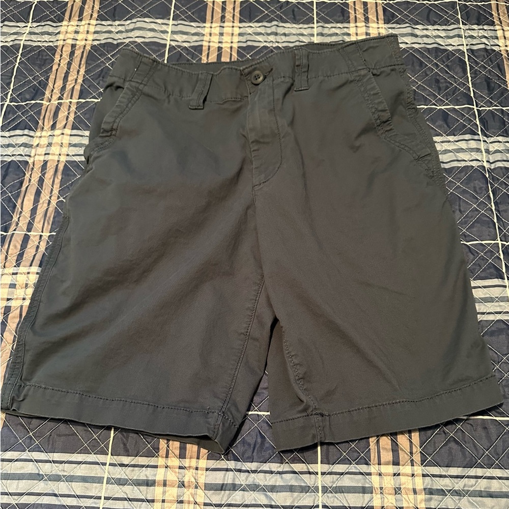 Mens Size 30 Navy Sonoma Everyday Shorts